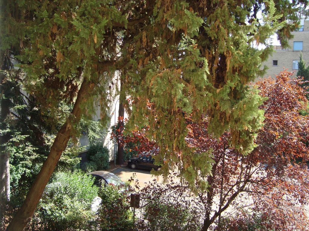 Villa Sciarra Rzym Pokój zdjęcie